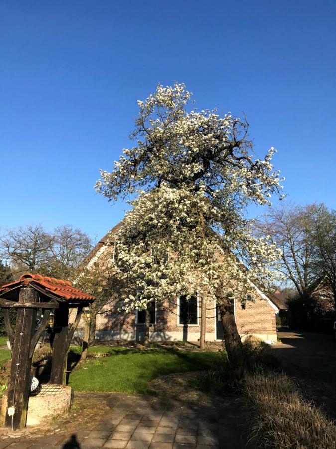 In De Tuin In Gees Villa Dış mekan fotoğraf